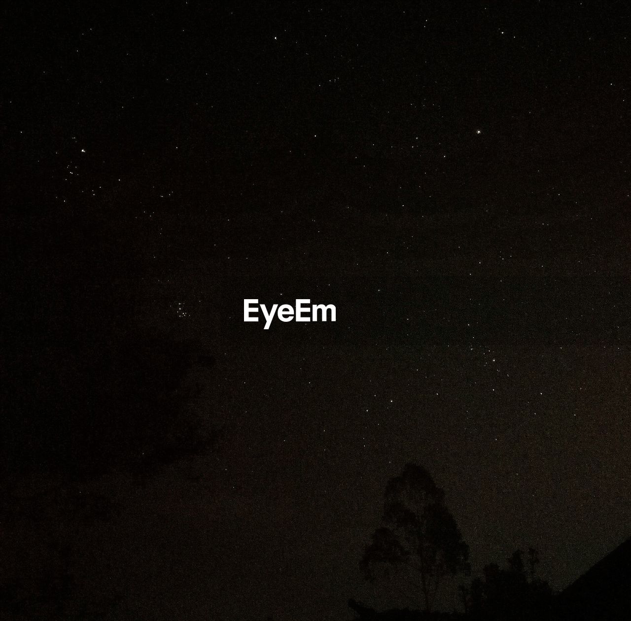 LOW ANGLE VIEW OF STAR FIELD AGAINST SKY AT NIGHT