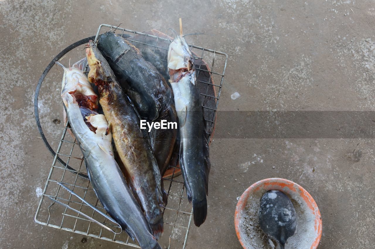 food, food and drink, seafood, fish, freshness, animal, healthy eating, wellbeing, high angle view, no people, raw food, fishing, directly above, outdoors, container, fishing industry
