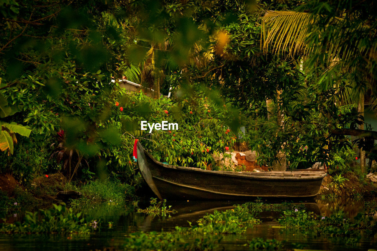 Scenic view of lake amidst trees