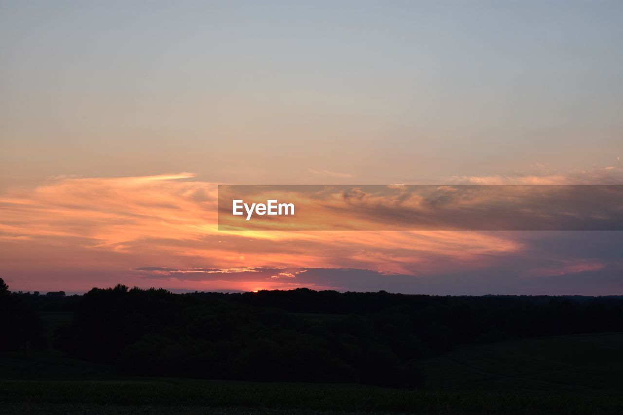 SILHOUETTE TREES ON FIELD AGAINST SKY AT SUNSET