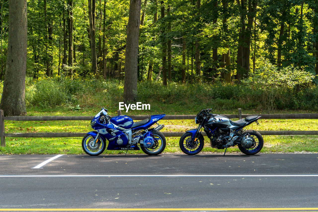 BICYCLES ON ROAD