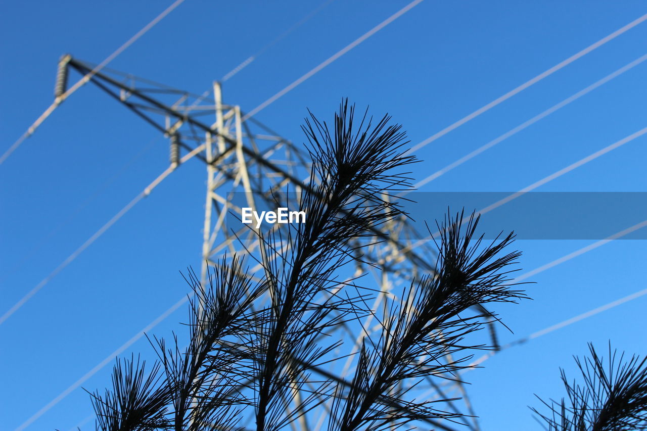 LOW ANGLE VIEW OF PLANT AGAINST BLUE SKY