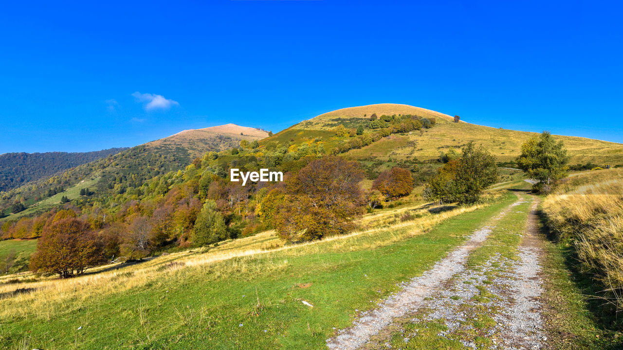 Scenic view of landscape against blue sky