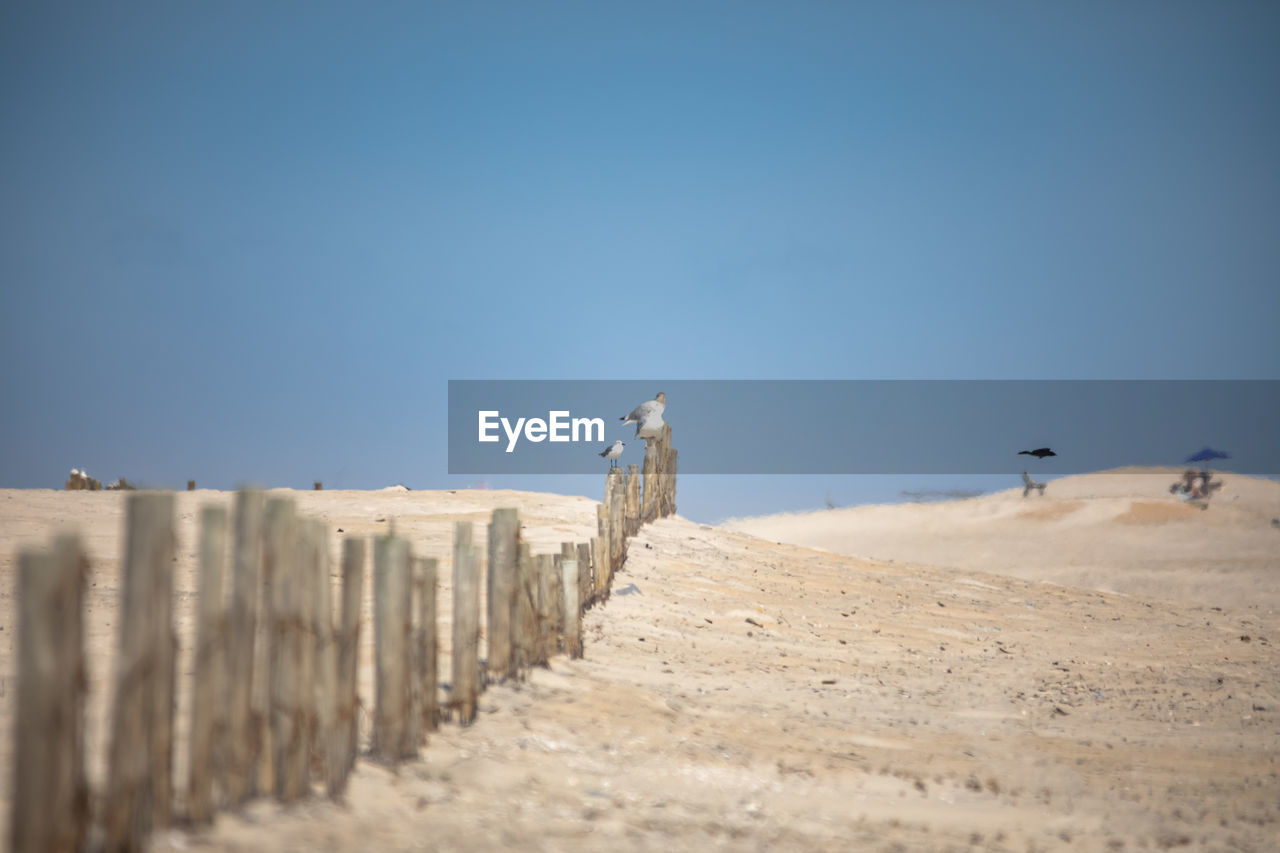 WOODEN POST ON SAND AGAINST CLEAR BLUE SKY