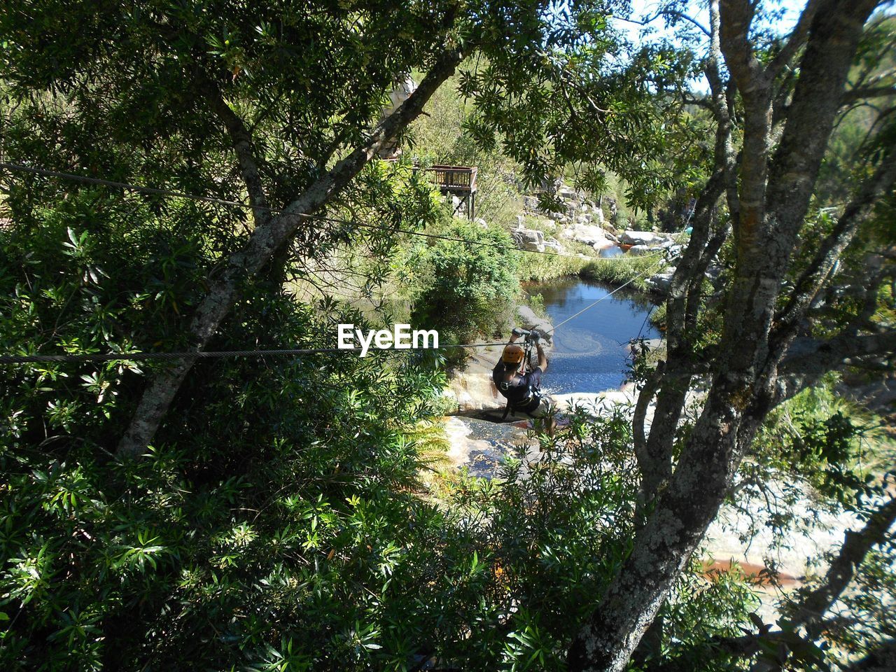 High angle view of man zip lining in forest