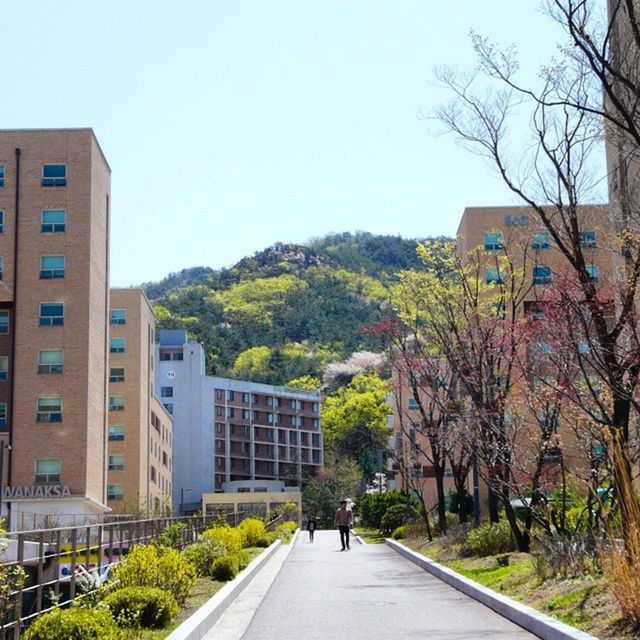 VIEW OF CITY STREET