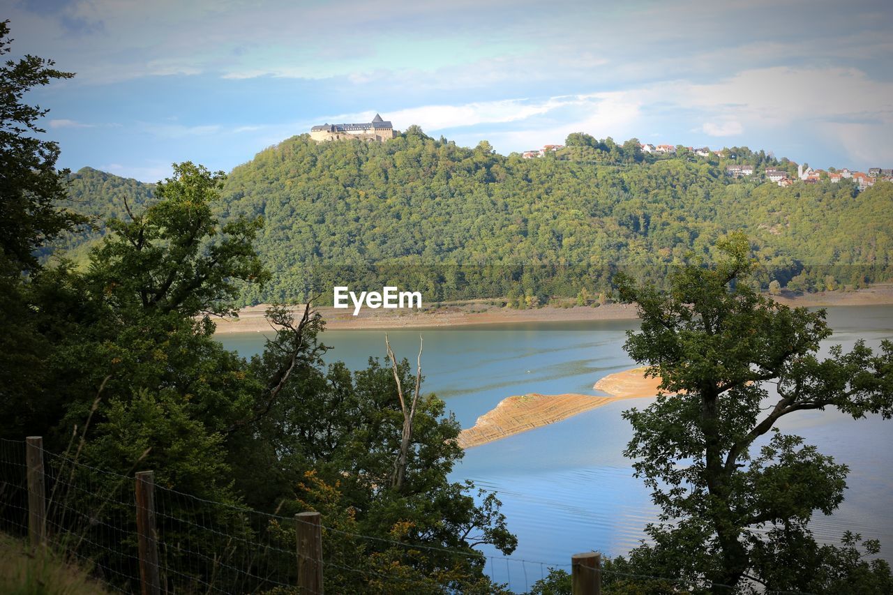 SCENIC VIEW OF FOREST AND TREES AGAINST SKY