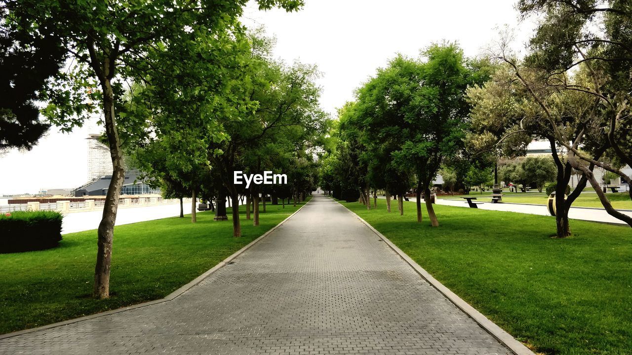 FOOTPATH AMIDST TREES IN PARK AGAINST SKY
