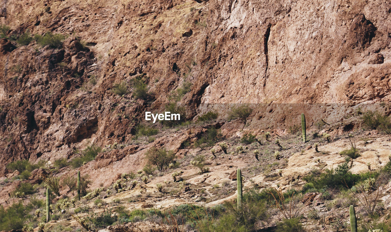 ROCK FORMATION ON LAND AGAINST MOUNTAIN