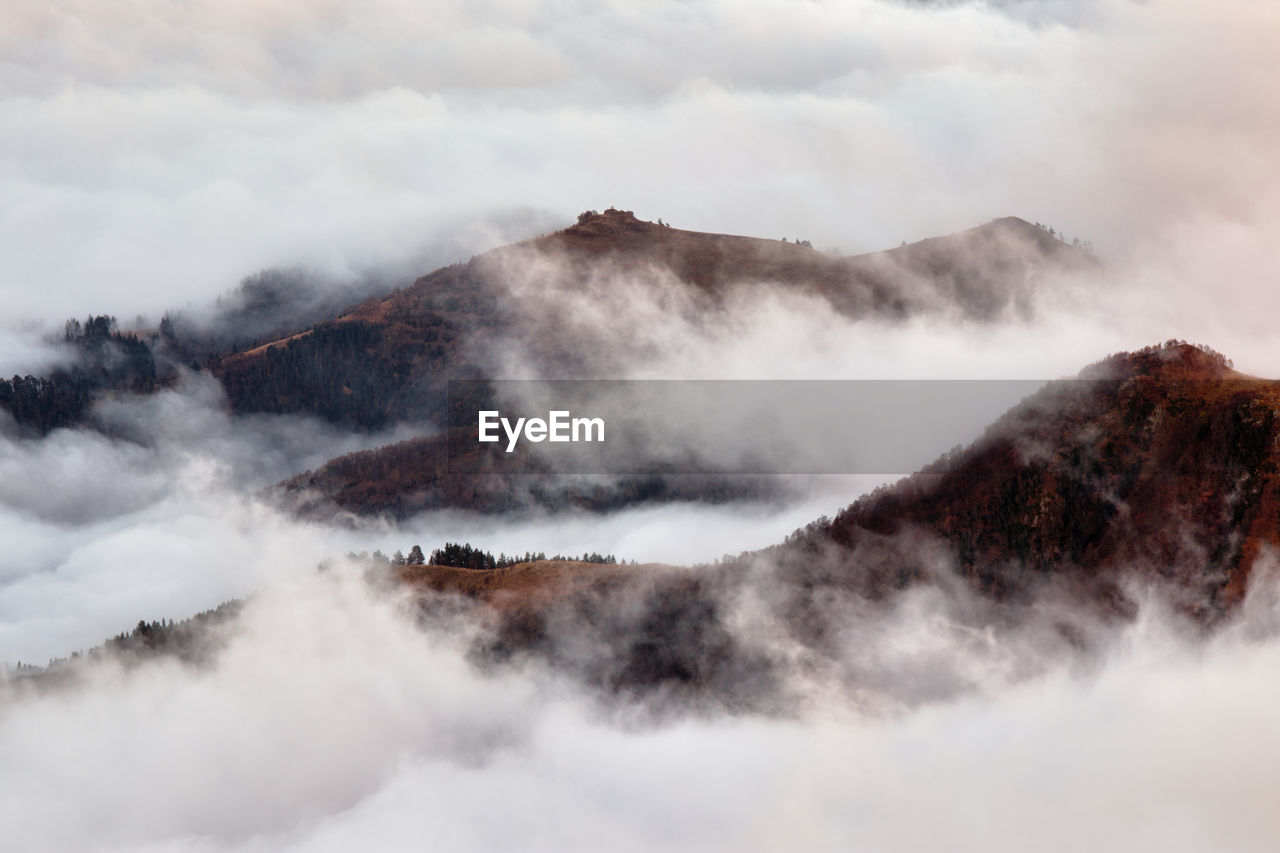 Mountain view with heavy fog or mist, tree in the thick fog. caucasus, russia