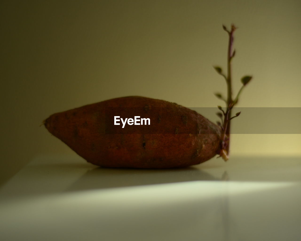 Close-up of sweet potato on table against wall