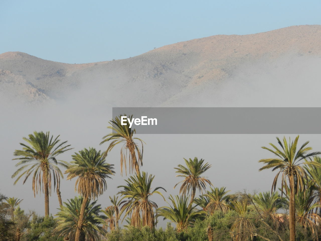 Scenic view of desert against sky