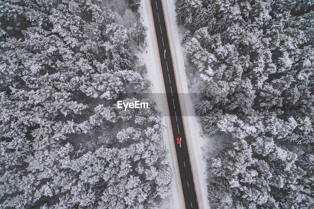 Aerial view of a divided road in winter forest