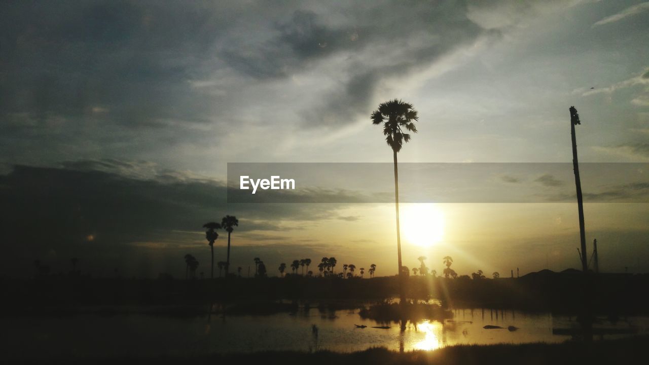 SILHOUETTE PALM TREES ON BEACH AGAINST DRAMATIC SKY