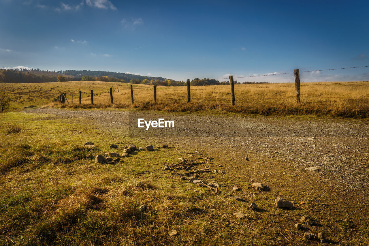 FIELD AGAINST CLEAR SKY