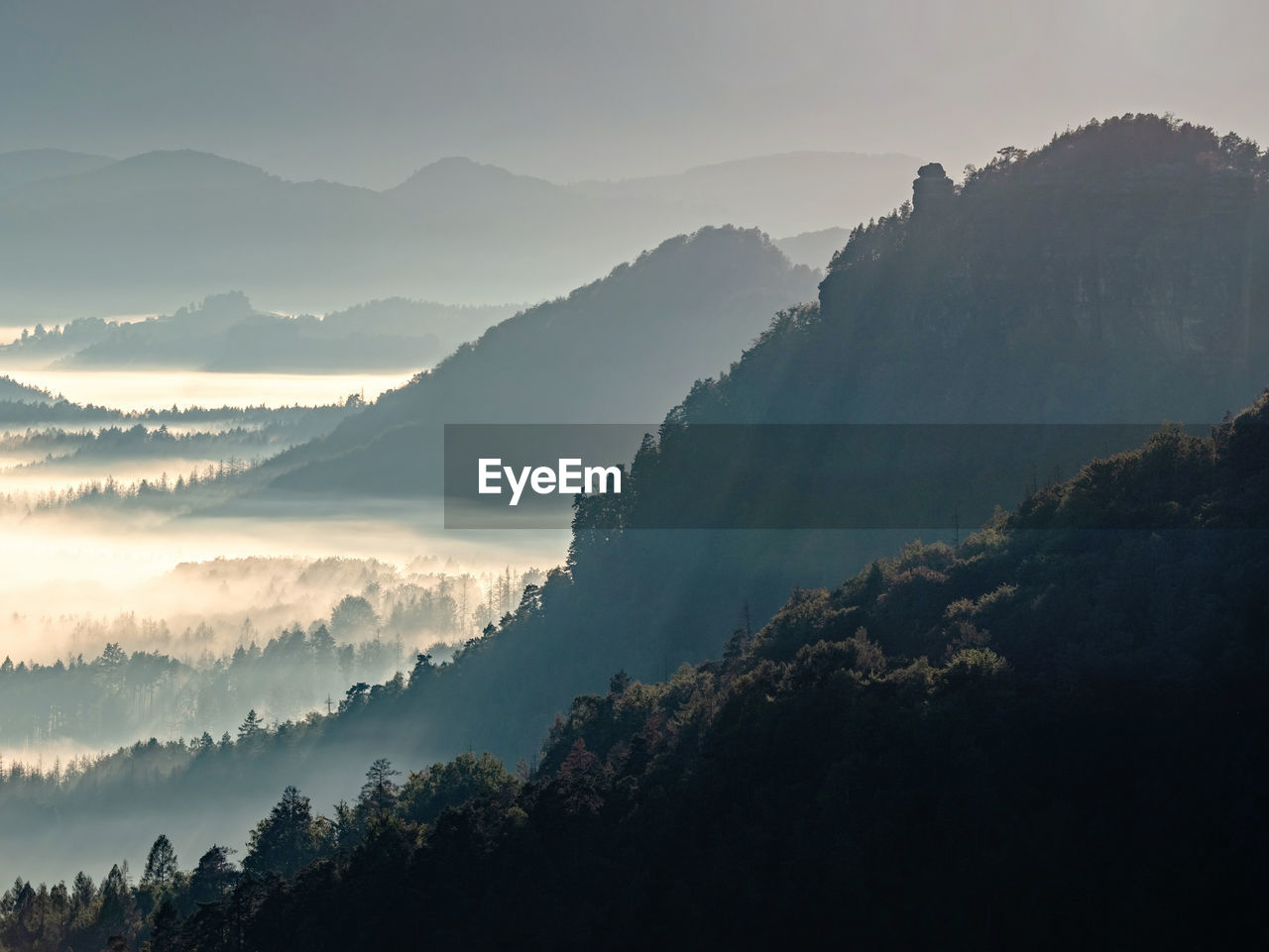 Dark green mountain forest landscape. foggy mountain forest in valley. fantastic misty landscape