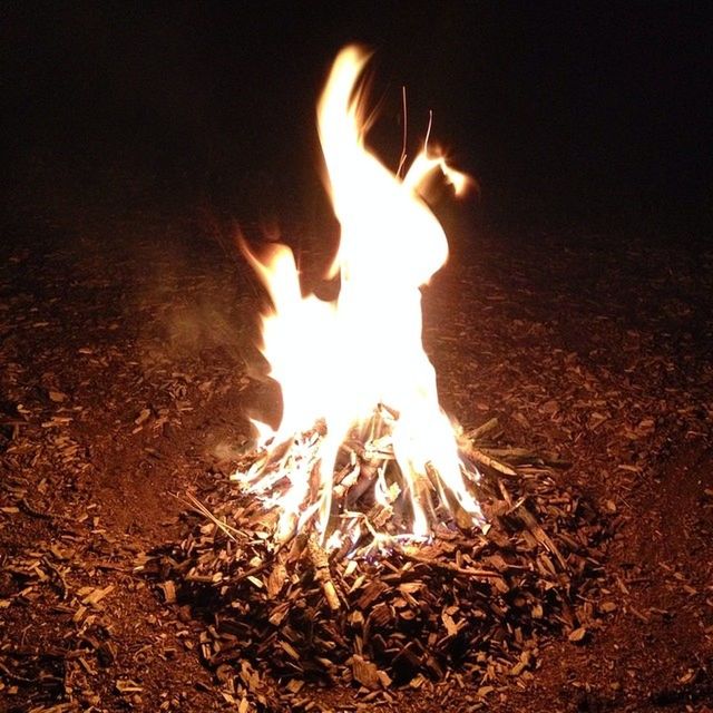 CLOSE-UP OF CAMPFIRE AT NIGHT