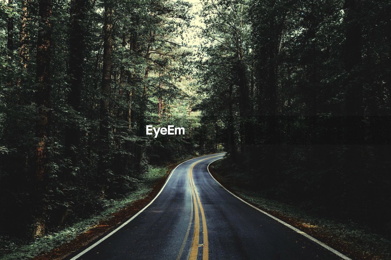 Empty road amidst trees in forest