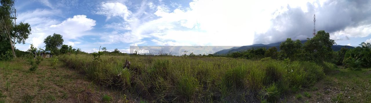 PANORAMIC SHOT OF LAND AGAINST SKY