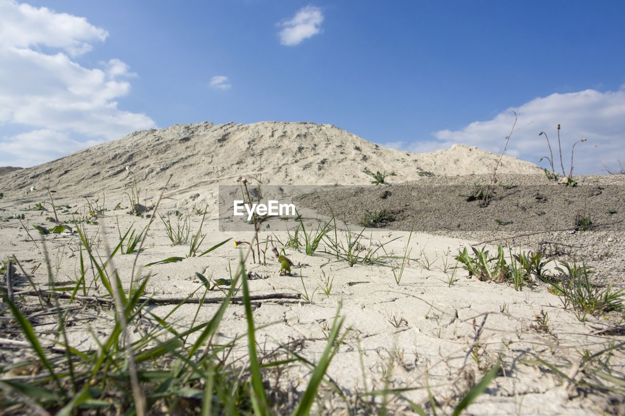 SURFACE LEVEL OF LAND AGAINST THE SKY