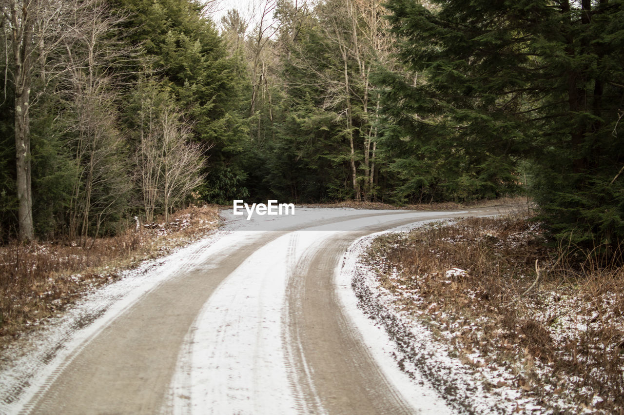 Empty road amidst trees in forest