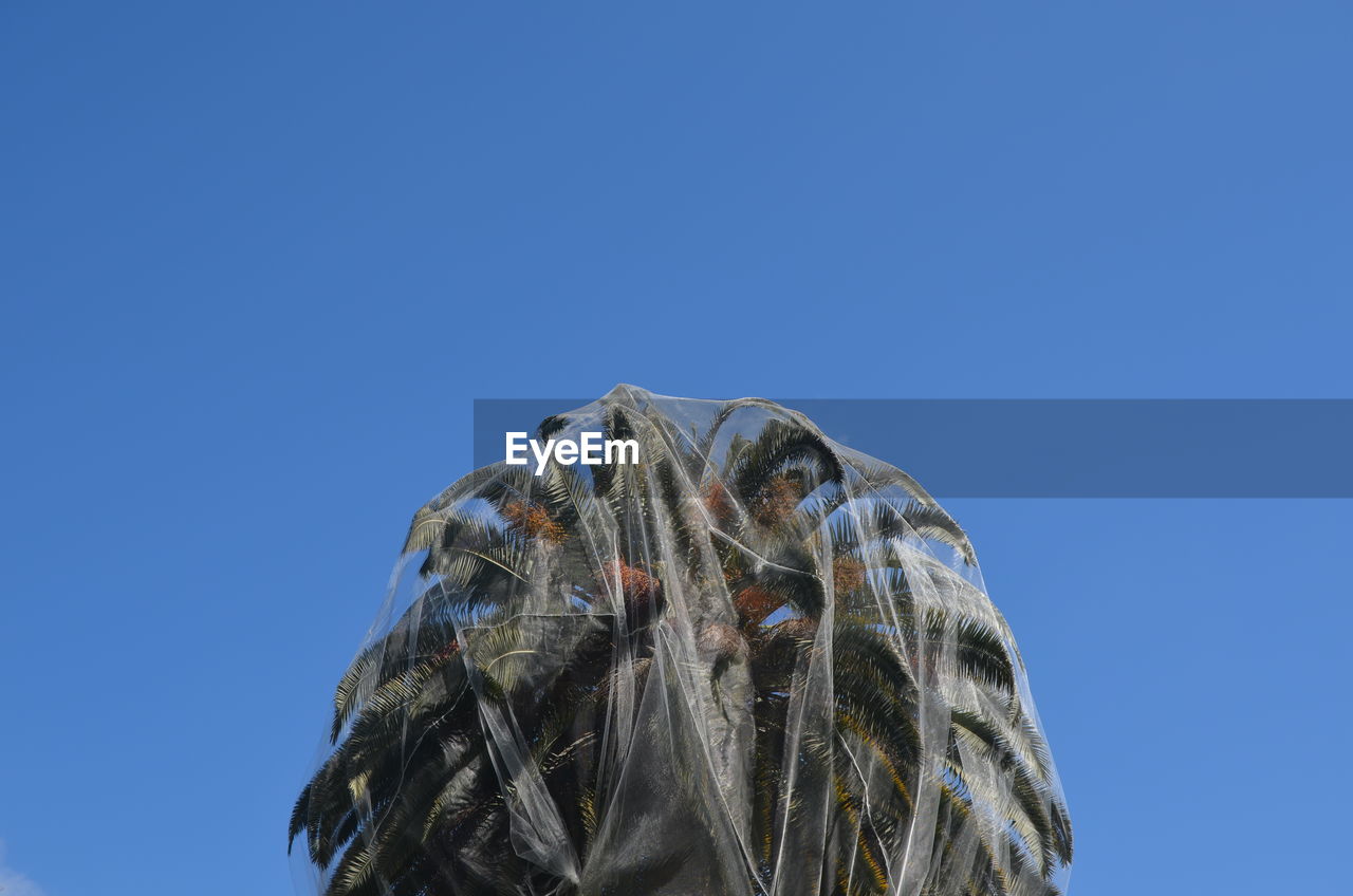 Close-up low angle view of blue sky