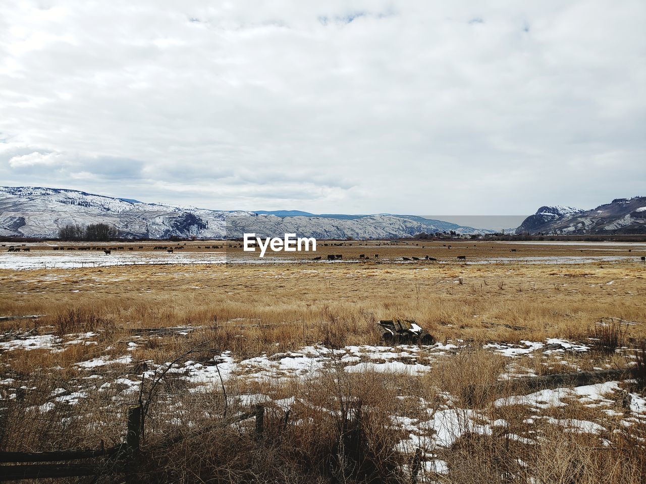 SCENIC VIEW OF SNOWCAPPED LANDSCAPE AGAINST SKY