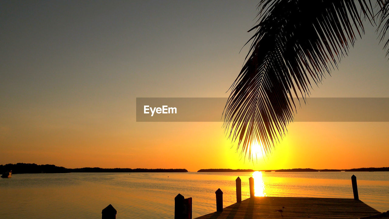 SILHOUETTE PALM TREE BY SEA AGAINST ORANGE SKY