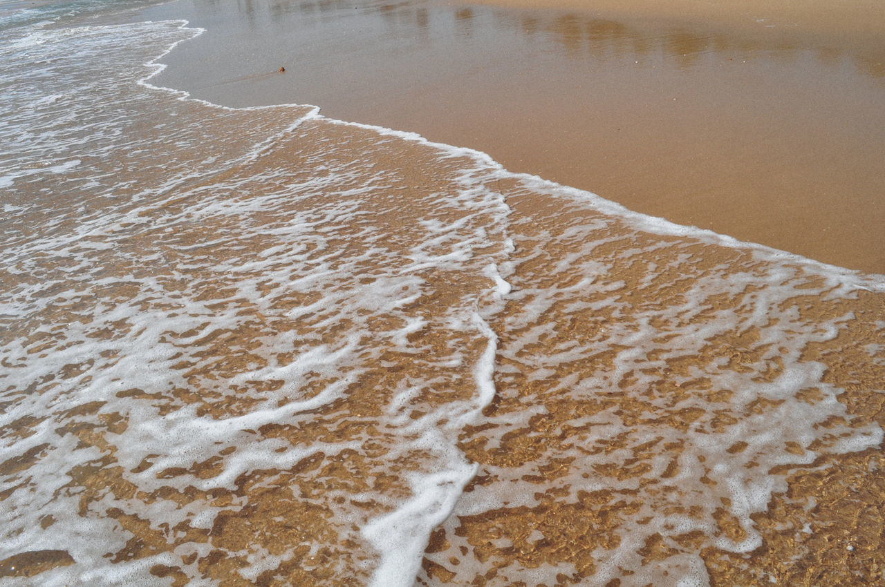 Scenic view of beach