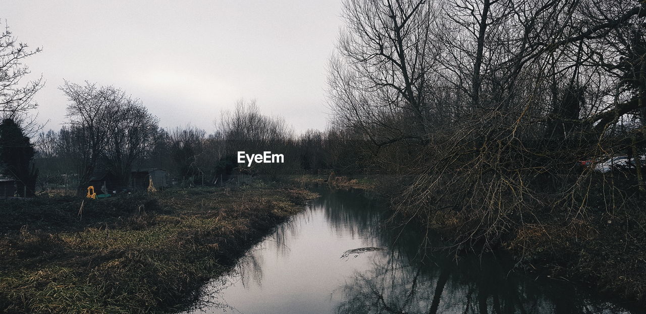 BARE TREES AGAINST RIVER