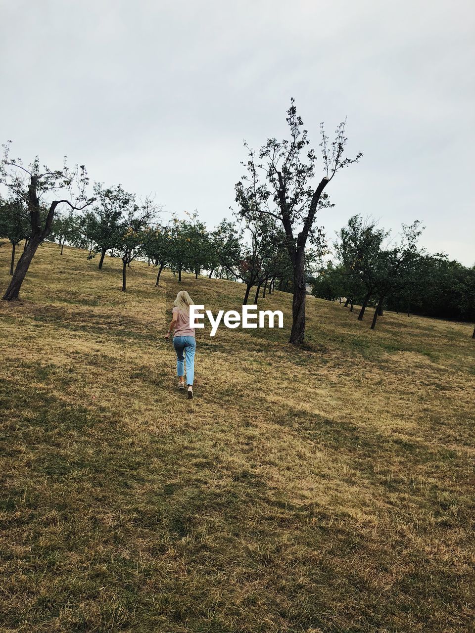 REAR VIEW OF MAN WALKING ON FIELD