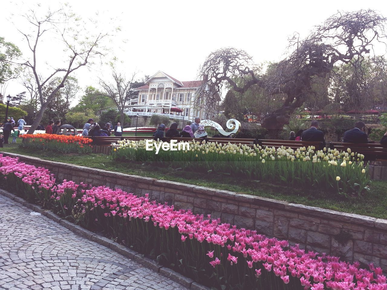 VIEW OF PLANTS AND TREES AGAINST SKY