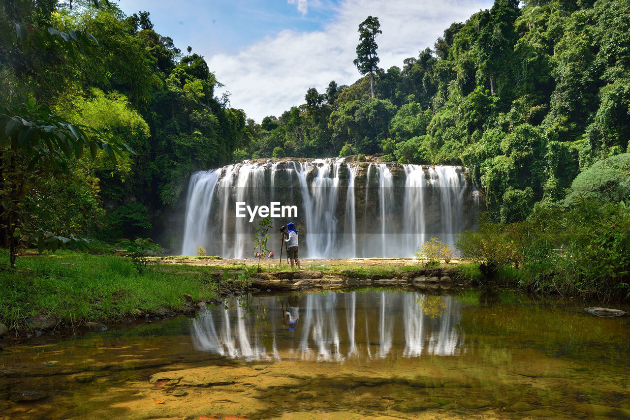 Scenic view of waterfall in forest