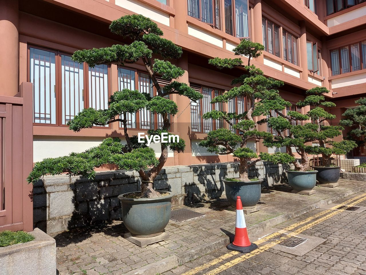 Potted plants on balcony of building