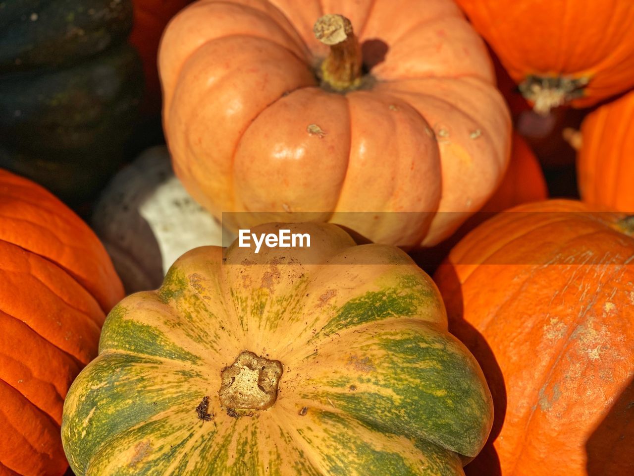 High angle view of pumpkins for sale at market