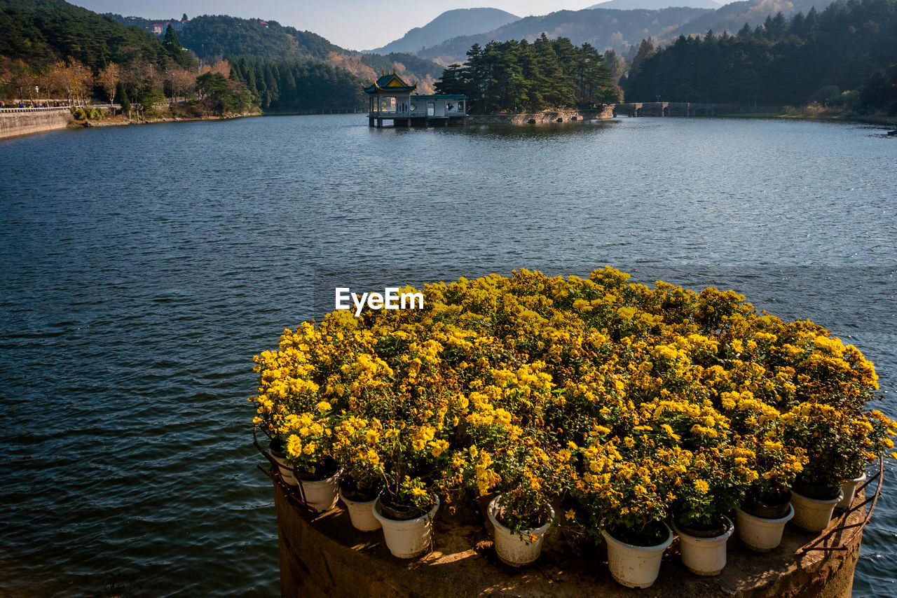SCENIC VIEW OF LAKE AND PLANTS BY MOUNTAIN