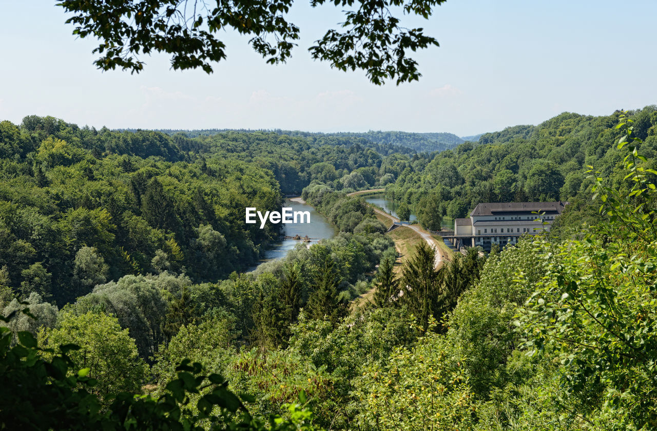 Scenic view of forest against clear sky