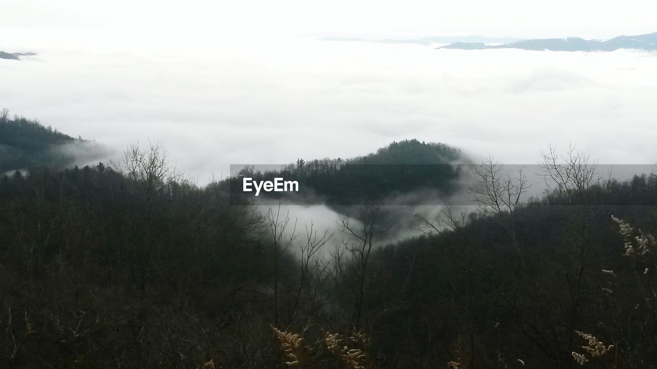 High angle view of foggy mountain
