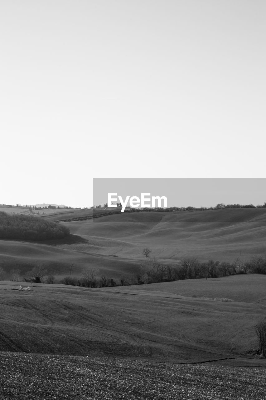 Scenic view of field against clear sky