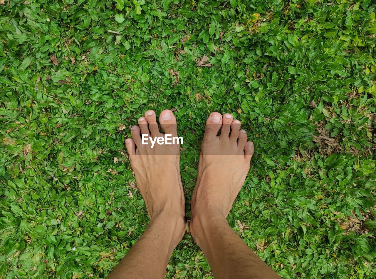 Low section of person standing on grass