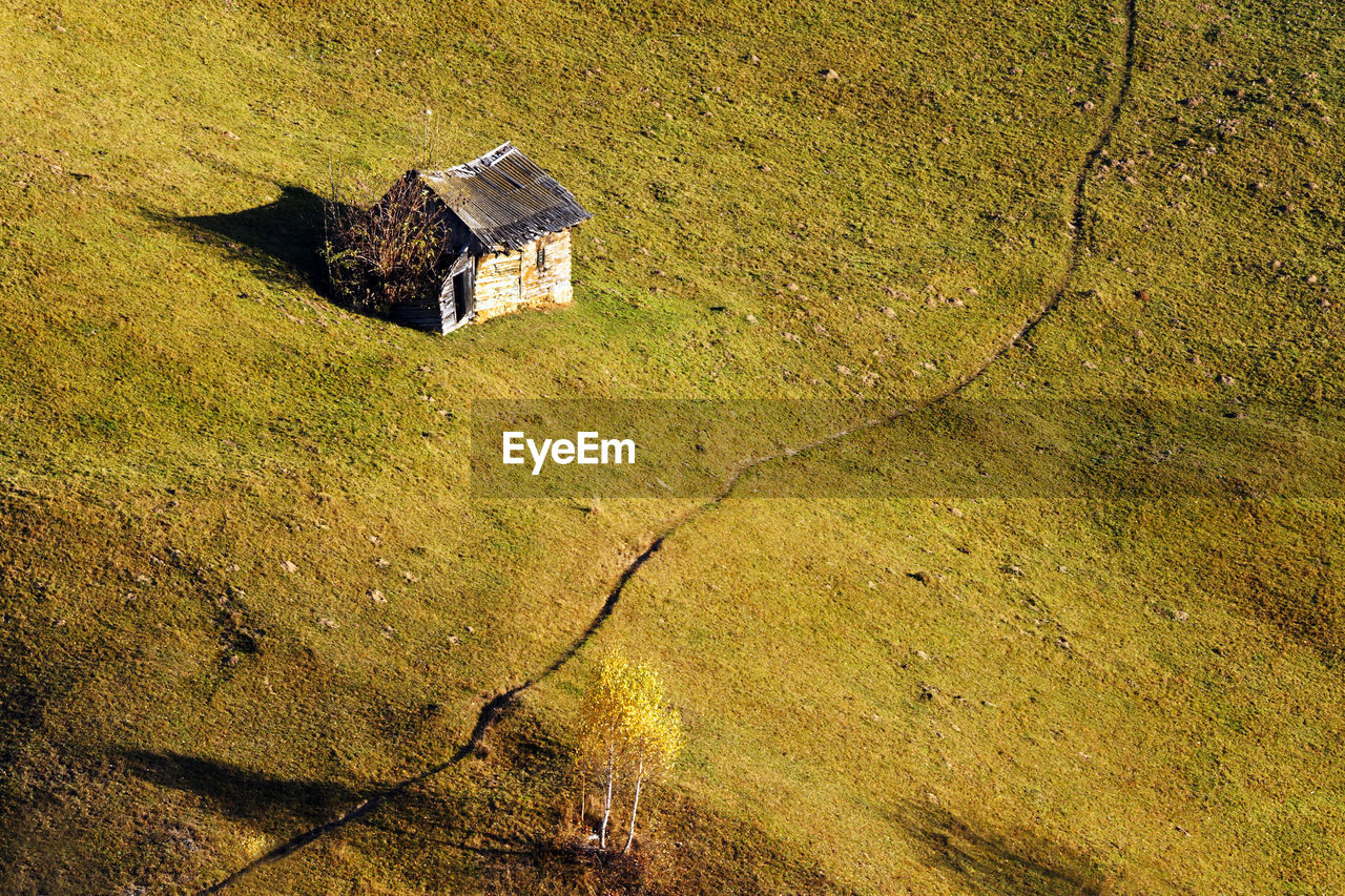 High angle view of grass