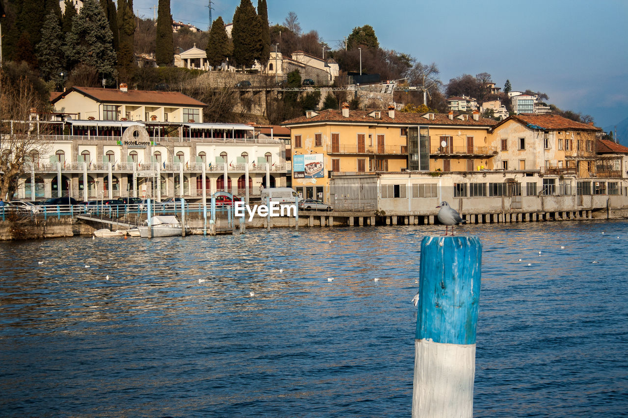 Wooden posts in lovere lake