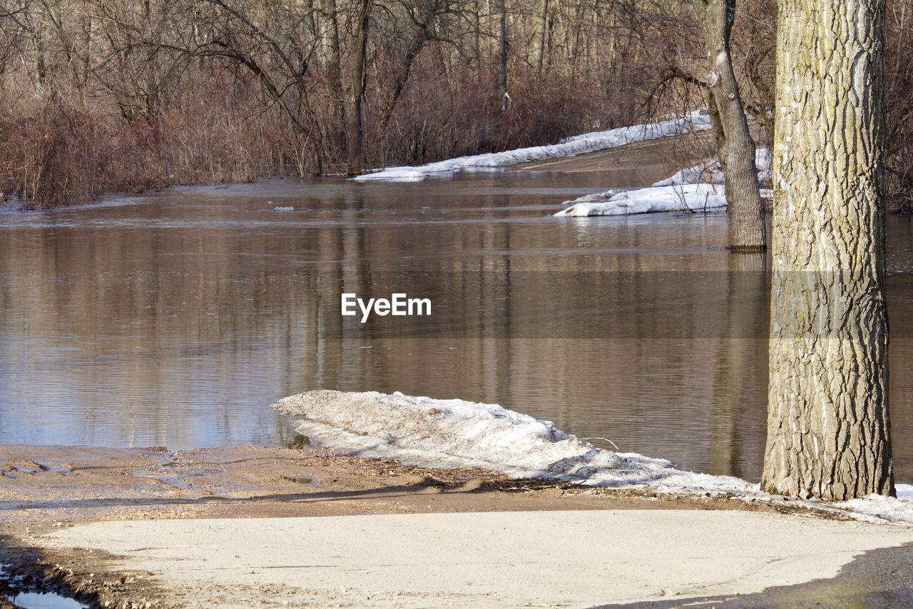 VIEW OF FROZEN LAKE IN FOREST