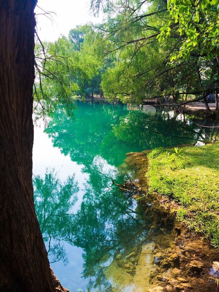 SCENIC VIEW OF LAKE