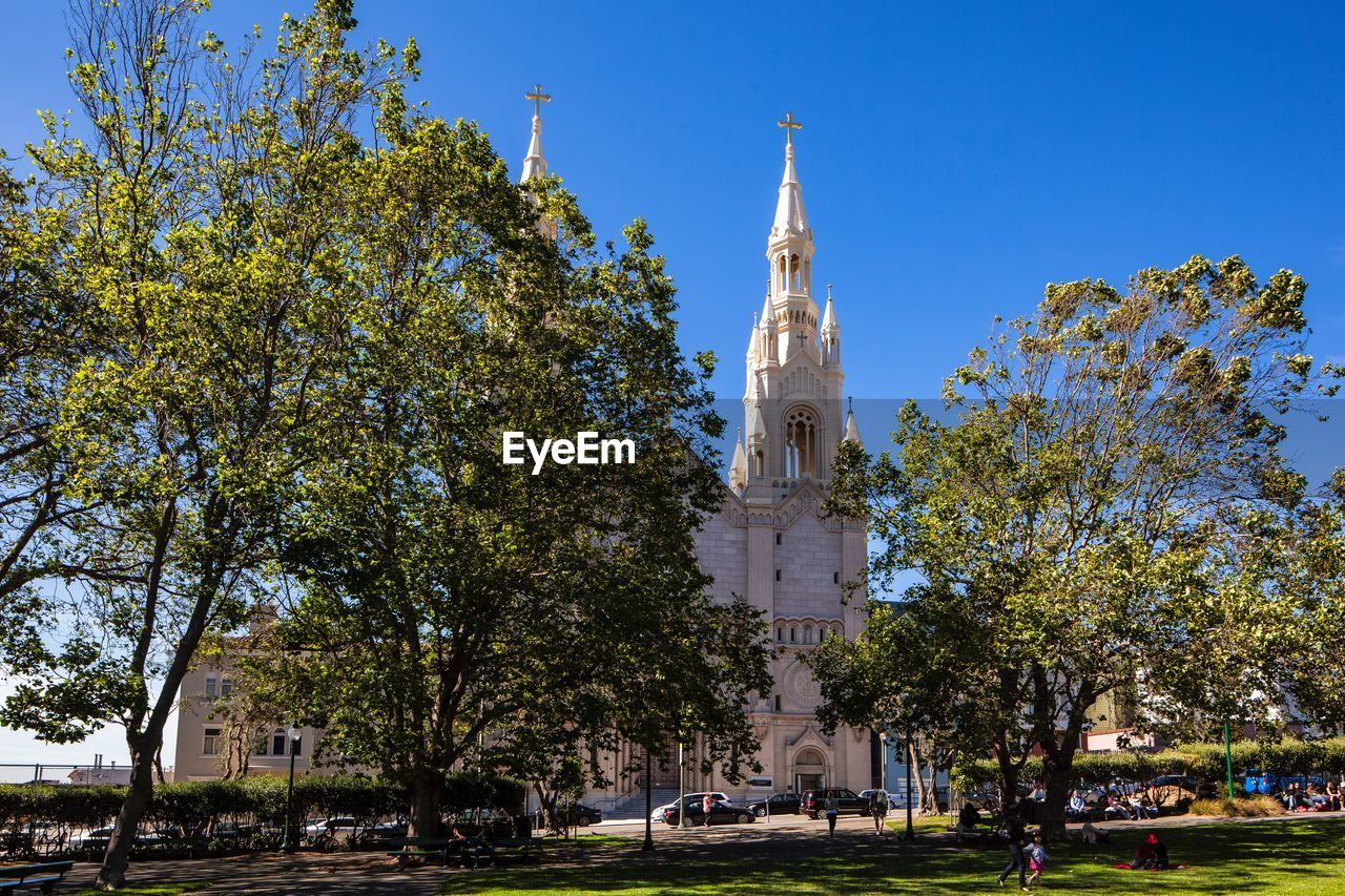 VIEW OF TREES AND BUILDINGS AGAINST SKY