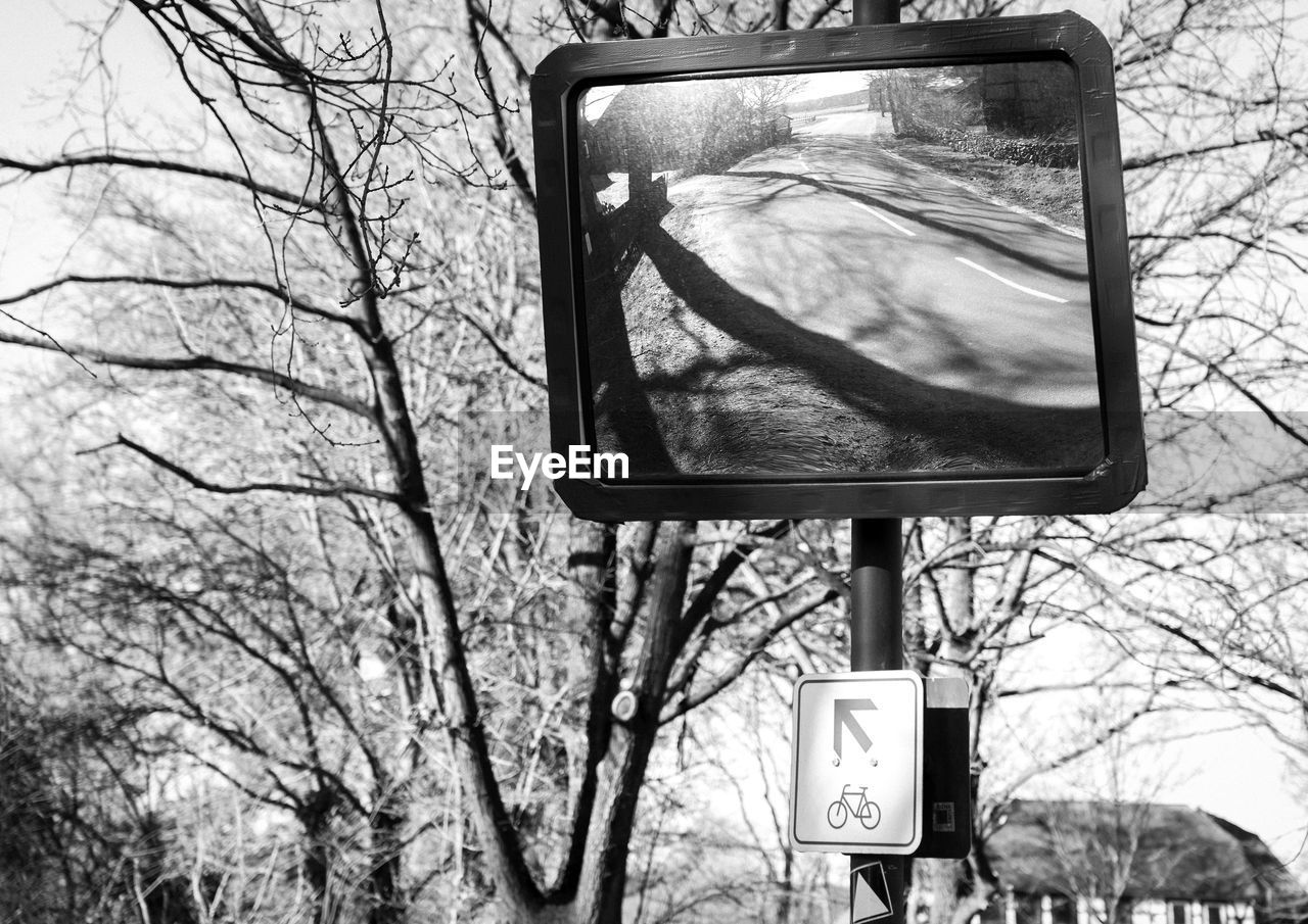 tree, bare tree, black and white, plant, monochrome photography, low angle view, billboard, branch, monochrome, communication, nature, no people, lighting, sign, day, sky, road sign, outdoors, signage, guidance, road, basketball hoop, light fixture