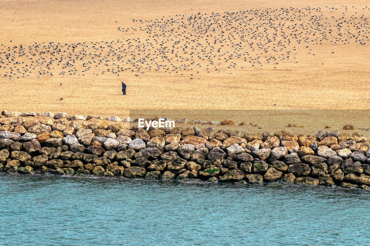 River, old man and birds, rabat, morocco.