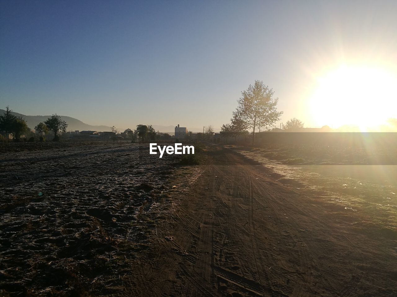 SCENIC VIEW OF AGRICULTURAL FIELD AGAINST CLEAR SKY DURING SUNSET