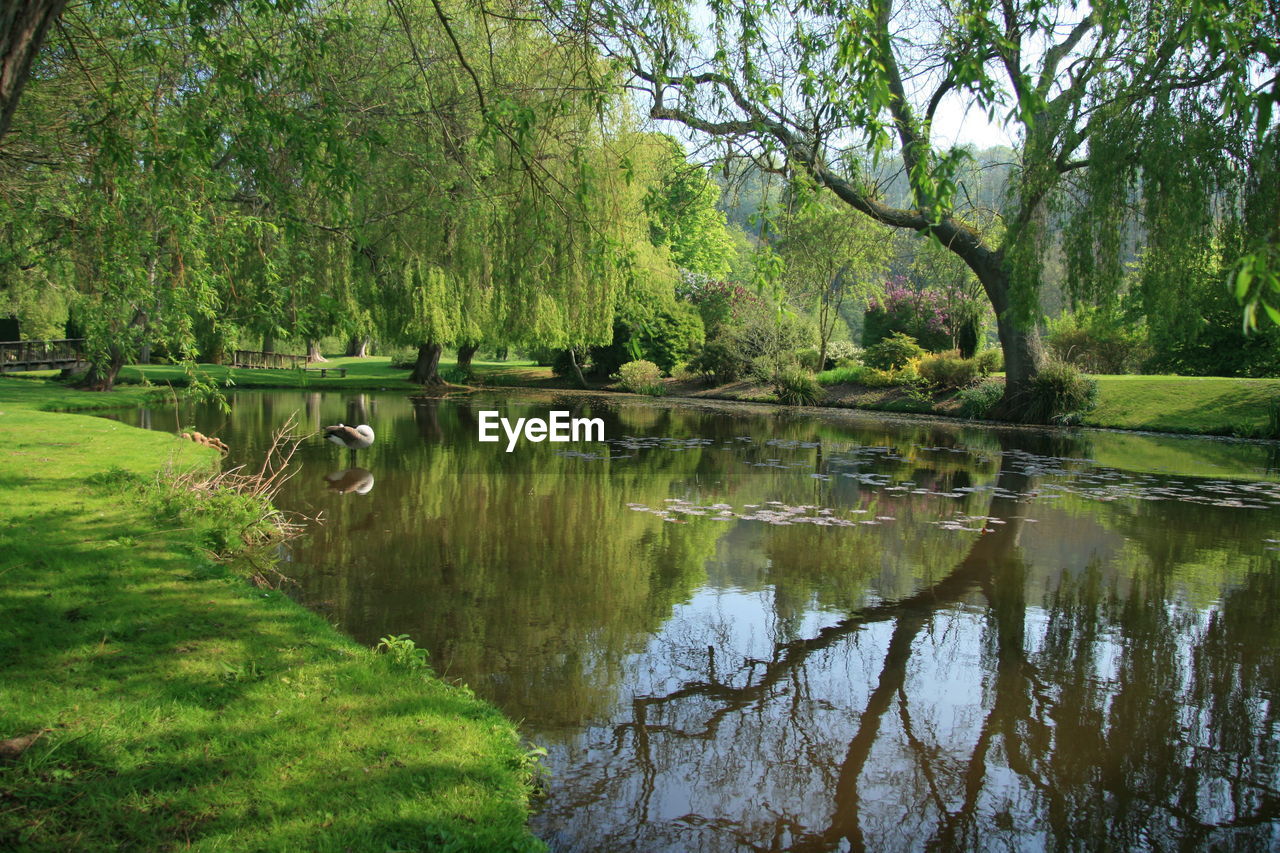 Scenic view of calm lake