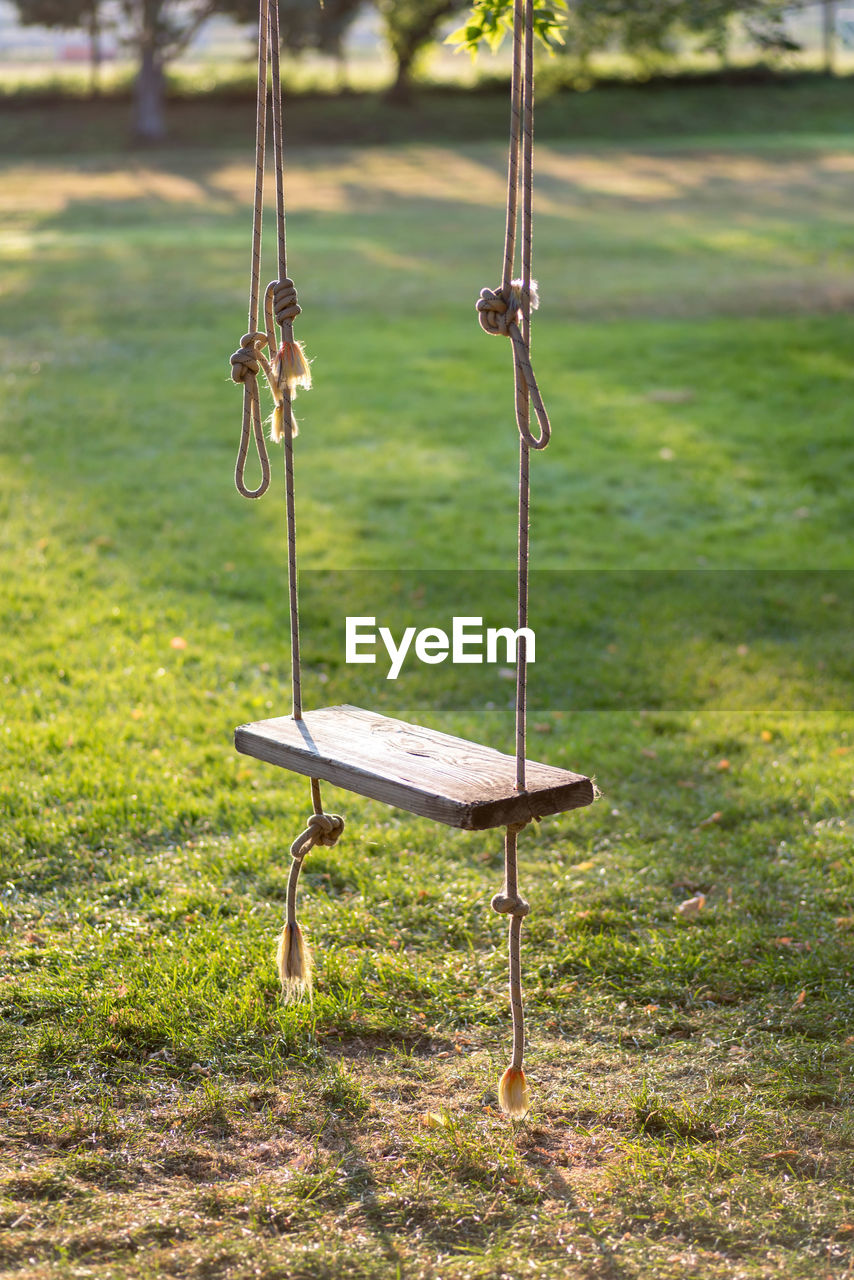 Empty rope swing in early morning light